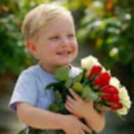 عمار