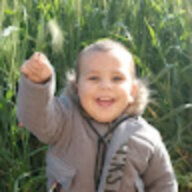 Geda