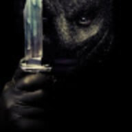 wolf wolf