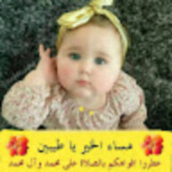 ابوعلي علي