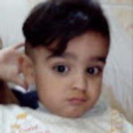 1982Hussain