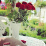 ale asaad aloosh