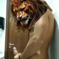 tiger R