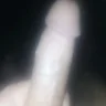 فحل مصري