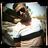مافيا.السواح