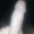 فحل مصري